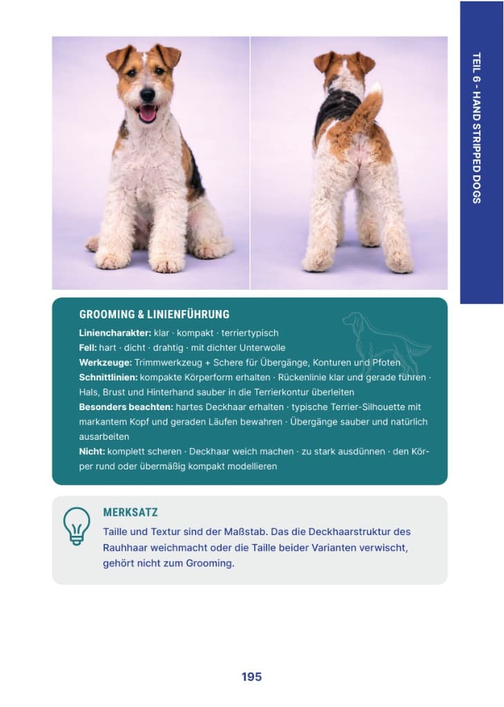 Rassenbuch Seite 195 – Fox Terrier Grooming & Linienführung