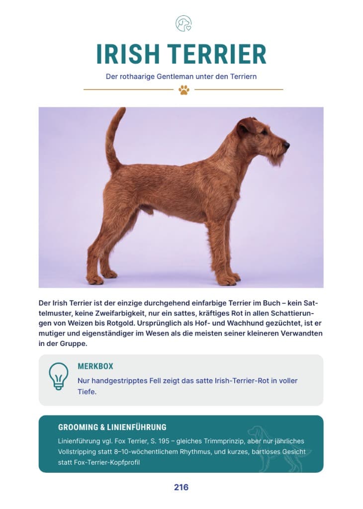 Rassenbuch Seite 216 – Irish Terrier