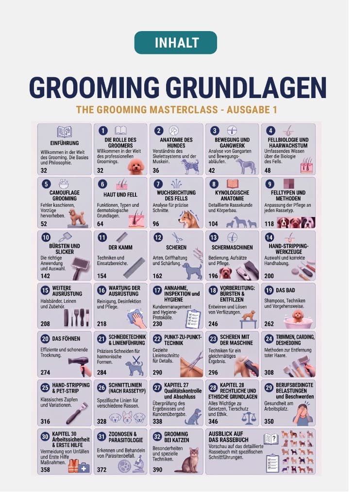 Grundlagenbuch Seite 6 – Inhaltsverzeichnis Übersicht